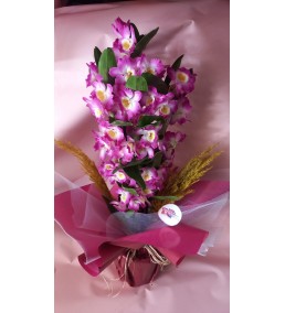 Orkide Dendrobium Cinsi Kokulu 