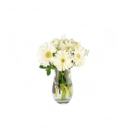gerbera 7 adet beyaz vazoda 